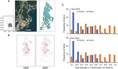 Simulating Pine Wilt Disease Dispersal With an Individual-Based Model Incorporating Individual Movement Patterns of Vector Beetles